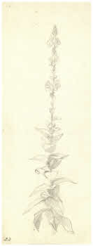 Visualizza l'immagine "FD D 2760"